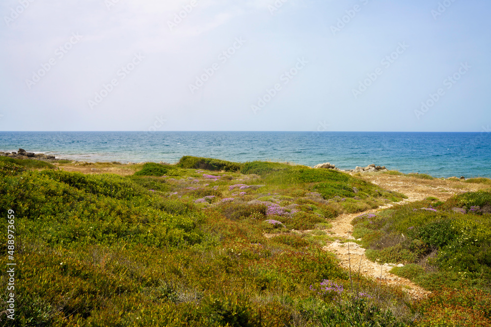 Coast of Salento from Leuca to Gallipoli. Apulia, Italy Coast of Salento from Leuca to Gallipoli. Apulia, Italy