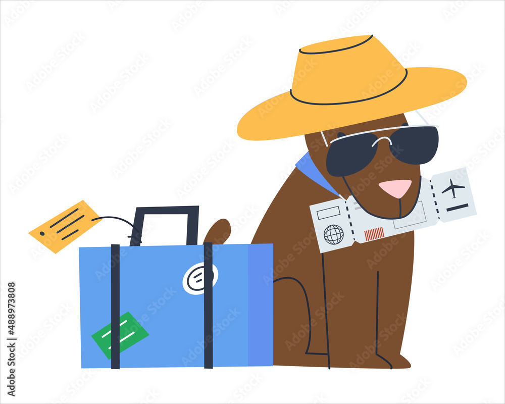 Dog with air ticket and suitcase. Rules for the transport of animals. Air travel with a dog. Flat vector illustration. Eps10 Dog with air ticket and suitcase. Rules for the transport of animals. Air travel with a dog. Flat vector illustration. Eps10