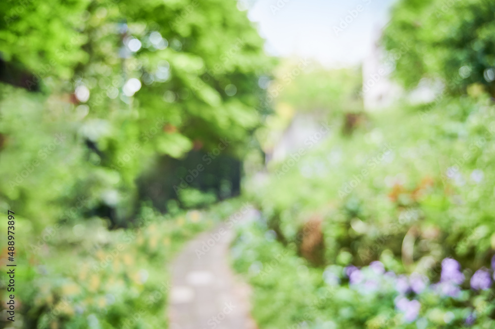 Abstract and bokeh background of natural landscape Abstract and bokeh background of natural landscape