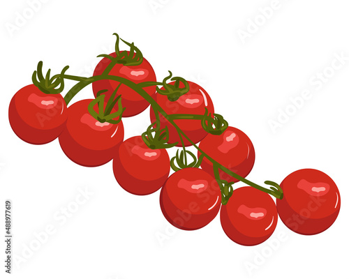 Tomatoes on a branch. Vector illustration