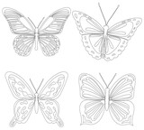 butterflies sketch, outline on white background