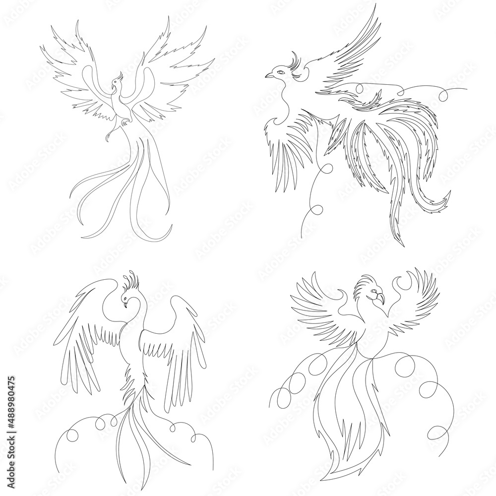 phoenix bird one line drawing,sketch, contour, isolated vector phoenix bird one line drawing,sketch, contour, isolated vector