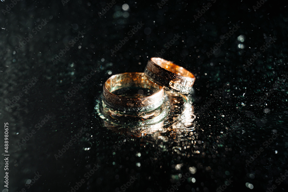 Holding wedding rings. Noble metal jewellery for married couples.Wedding ceremony and planing.Holding traditional bridal commitment jewellery.Golden ring for bride and groom.Marriage proposal exchange Holding wedding rings. Noble metal jewellery for married couples.Wedding ceremony and planing.Holding traditional bridal commitment jewellery.Golden ring for bride and groom.Marriage proposal exchange