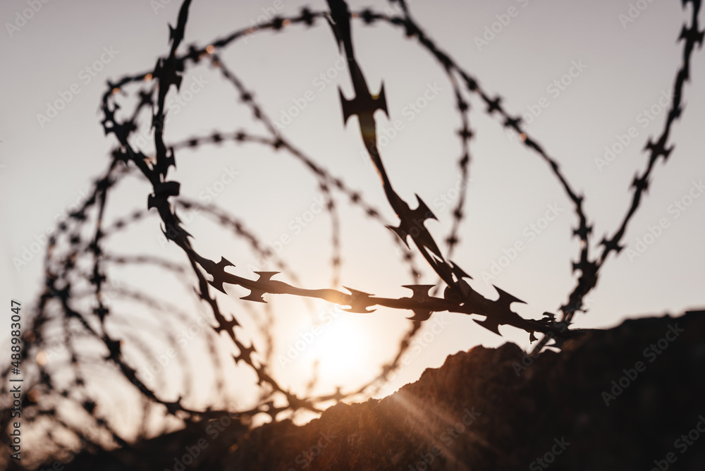 Steel twisted barbed wire. The concept of freedom and a better life on the other side. Steel twisted barbed wire. The concept of freedom and a better life on the other side.
