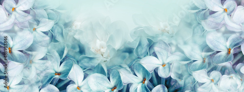 Floral spring background. Lilac bouquet, turquoise flowers and  petals. Close-up. Nature. Lilac bunch. photo