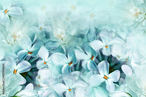 Fotografie Floral spring background