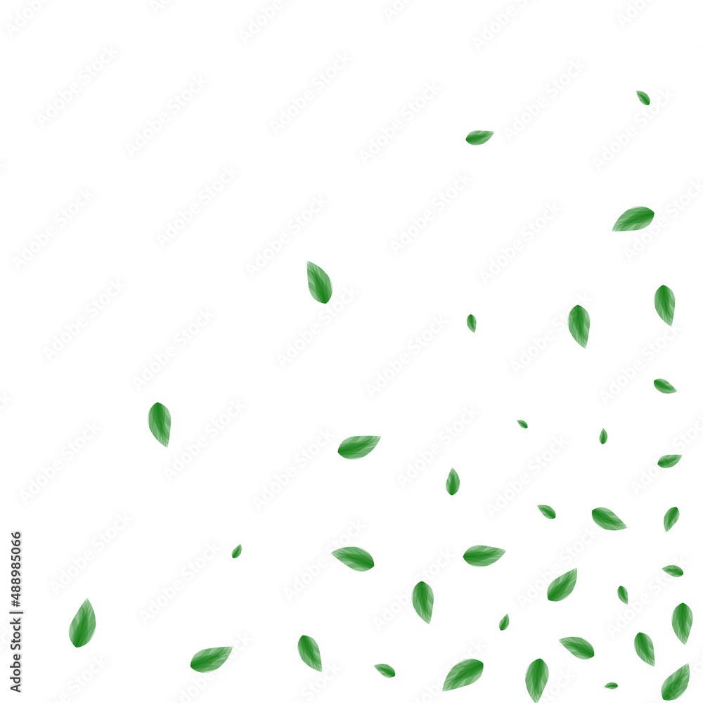 Light Green Foliage Background White Vector. Vegetation Spring Design. Realistic Illustration. Green Botanical Card. Leaves Watercolor. Light Green Foliage Background White Vector. Vegetation Spring Design. Realistic Illustration. Green Botanical Card. Leaves Watercolor.