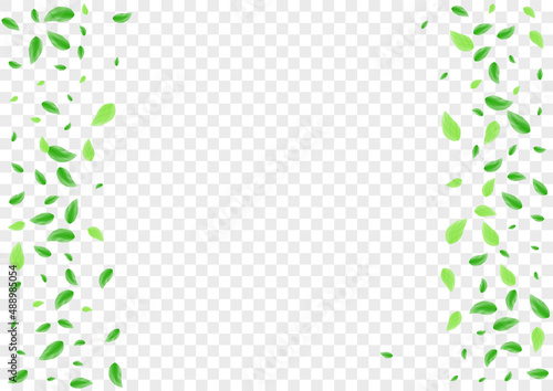 Green Vegetation Background Transparent Vector. Foliage Copy Card. Branch Design. Greenish Isolate Frame. Leaf Symbol.