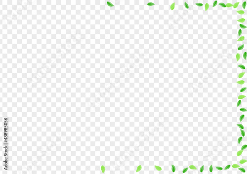 Greenish Vegetation Background Transparent Vector. Plant Process Illustration. Template Card. Green Pattern Design. Foliage Healthy.