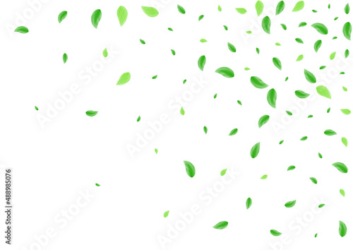 Light Green Greenery Background White Vector. Foliage Peaceful Design. Shape Texture. Greenish Park Card. Vegetation Wind.
