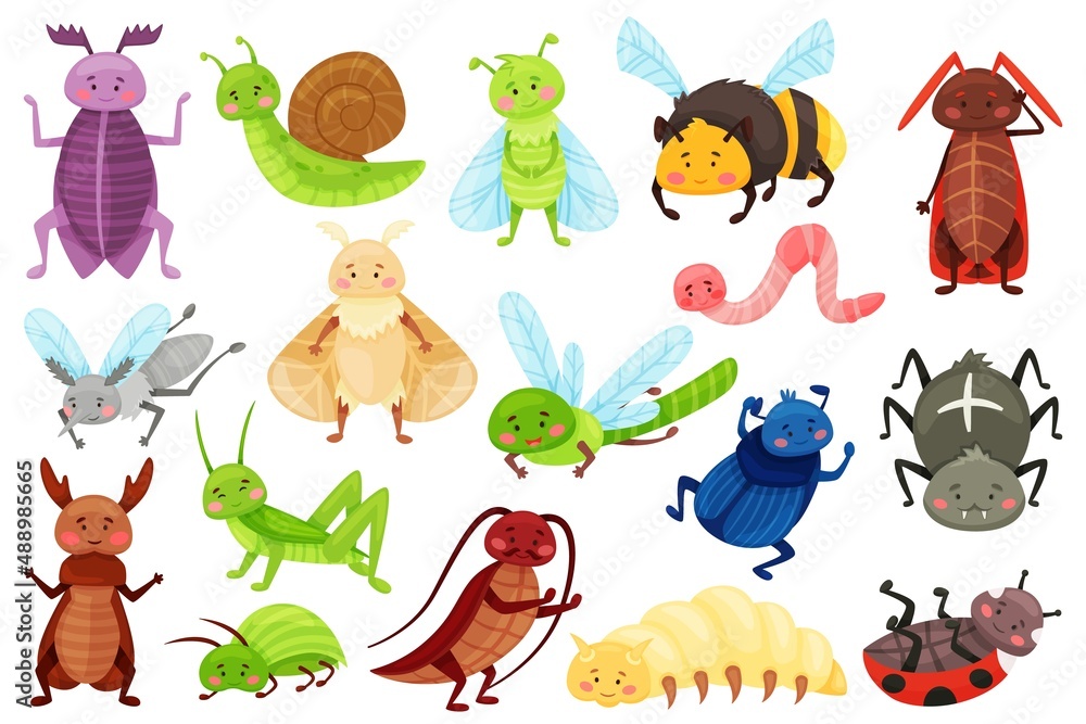Obraz premium Cartoon insects, cute garden bugs, dragonfly, ladybug, spider. Funny snail, bumblebee, dragonfly, smiling insect characters for kids vector set. Illustration of dragonfly and beetle