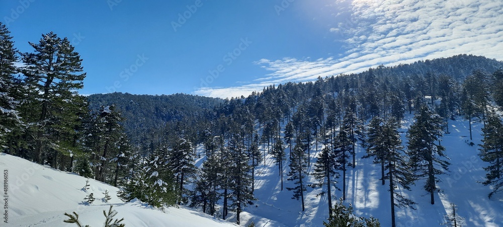 Ormanda Kar Manzarası ve güzel doğa