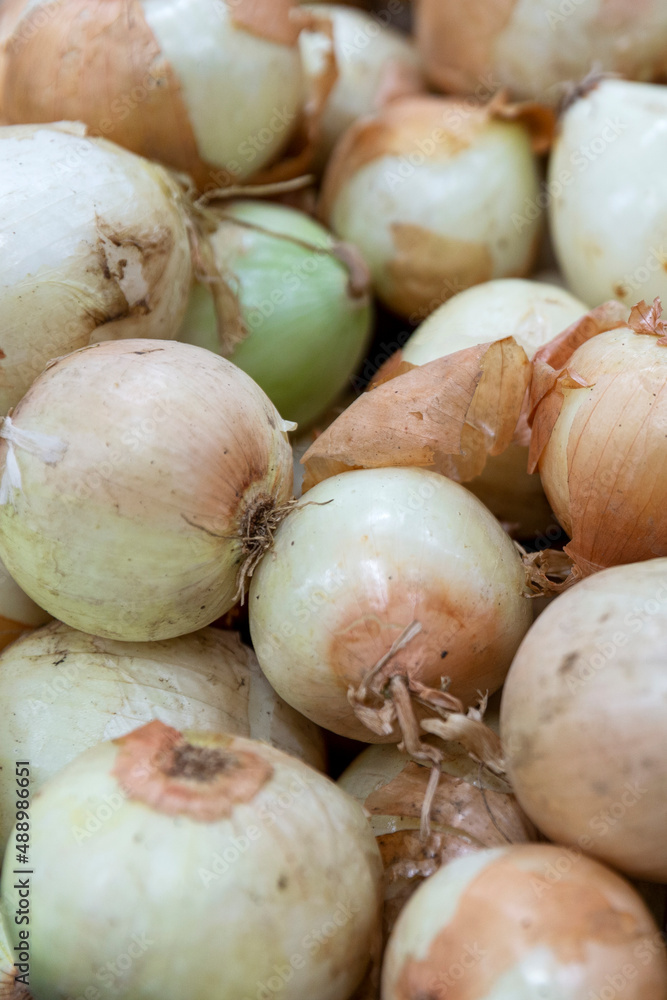 Onions on the counter in the store. Healthy food and vitamins. Close-up. Vertical. Onions on the counter in the store. Healthy food and vitamins. Close-up. Vertical.