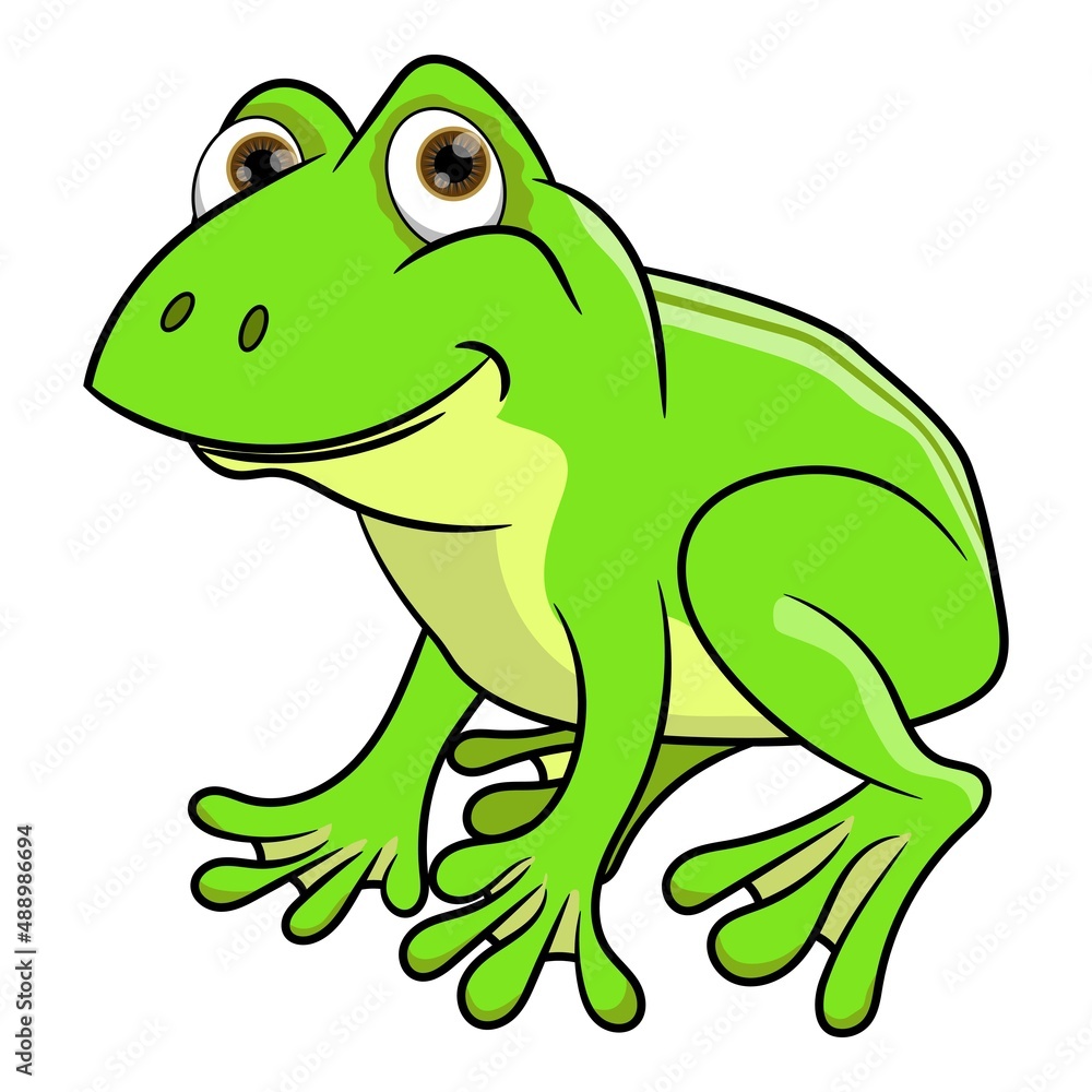 Fototapeta premium Fanny cartoon frog with cute eyes looking, smiling and sitting. Vector illustration isolated on white background