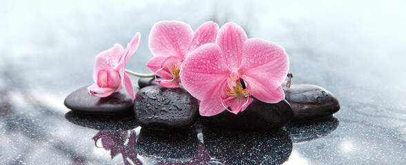 Plexiglas schilderij Spa Stenen en roze orchidee grijs  © Swetlana Wall