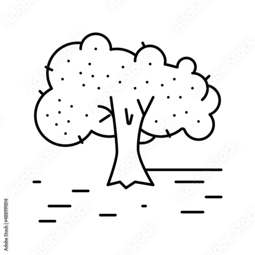 cultivation olive tree line icon vector illustration