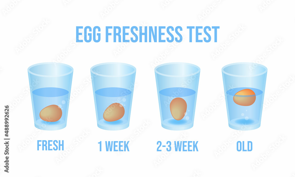 Vector illustration eggs floating in transparent glass of water