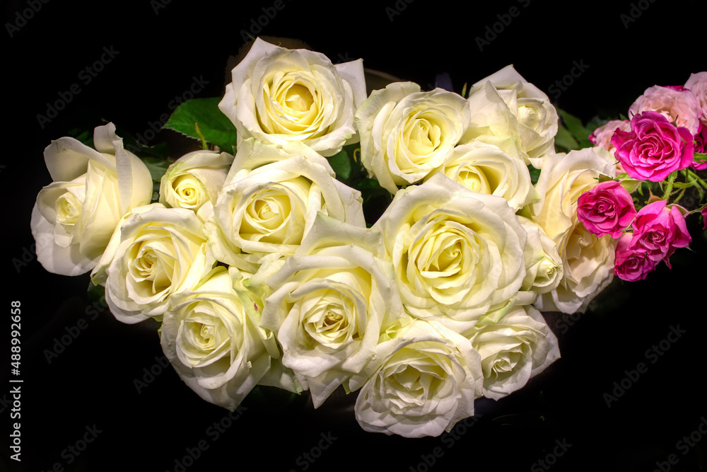 Obraz premium Huge bouquet of white roses