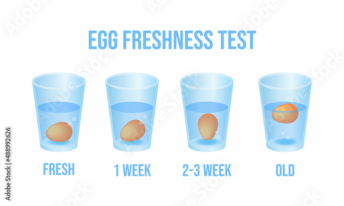 Vector illustration eggs floating in transparent glass of water isolated on white background. Egg float test infographic vector icons in flat cartoon style. Egg freshness test. Expiration date check.