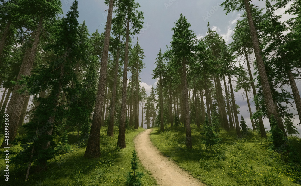 Trail in sunny forest with firs, grass and flowers under a blue cloudy sky. 3D render.