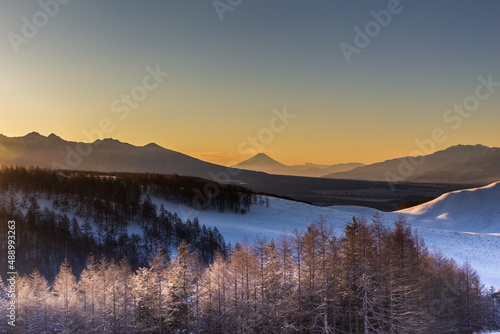 冬の霧ヶ峰から夜明けの富士山と朝日に輝く霧氷
