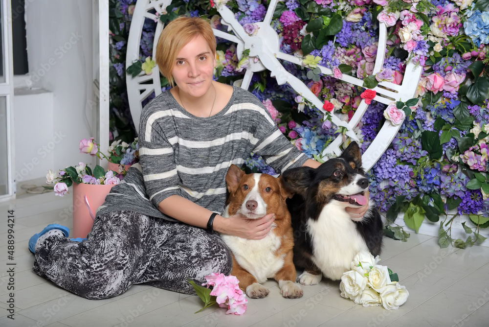 Obraz premium happy woman with two corgi dogs