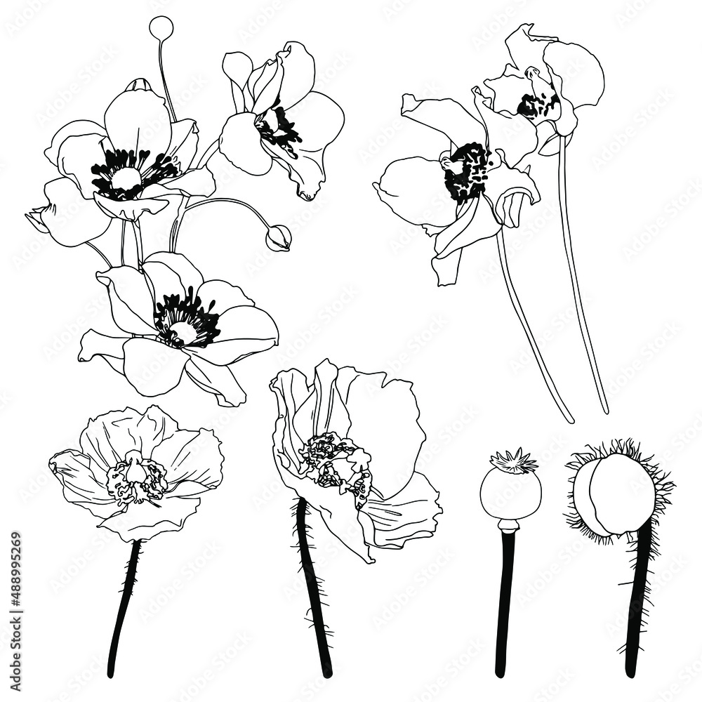 Poppy Leaf Printable