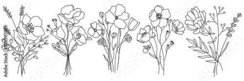 Vector line art hand drawn bouquet of flowers