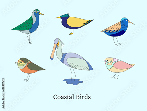 European Coastal Birds