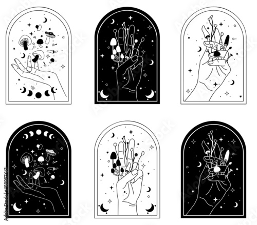 Mystical mushrooms. Hand drawn vector. Esoteric clipart