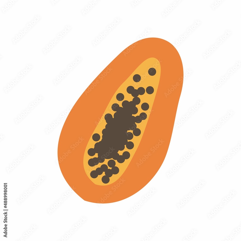 Vector Illustration of Papaya Fruit Split. Vector Illustration of Papaya Fruit Split.