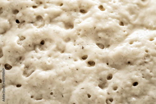 Sour dough (close-up, full frame)