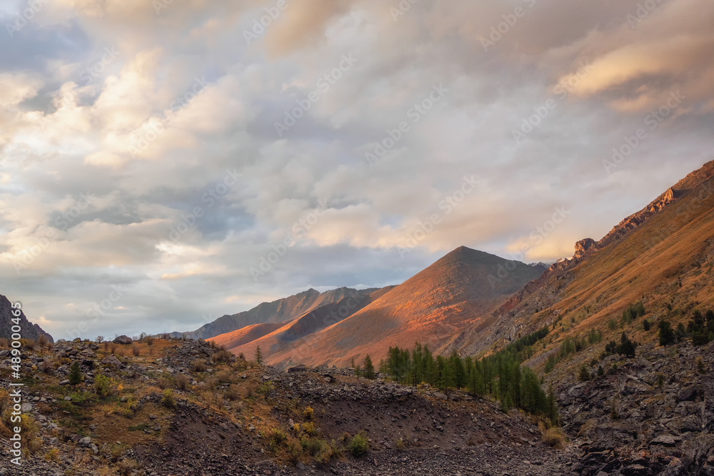 Misty mountain landscape with golden low clouds in valley among mountains silhouettes under cloudy sky on sunset. Sunset or sunrise scenery with low clouds in mountain valley in illuminating color. Misty mountain landscape with golden low clouds in valley among mountains silhouettes under cloudy sky on sunset. Sunset or sunrise scenery with low clouds in mountain valley in illuminating color.