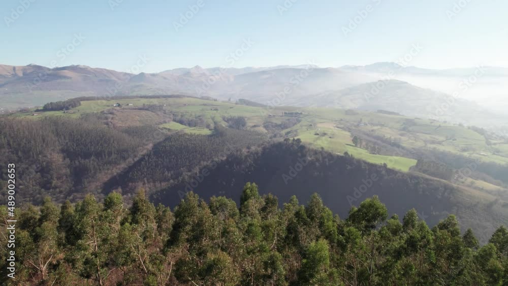 Tall green trees atop a mountain in Spain's Cantabria province while the valley is largely shrouded in low-hanging fog. High angle drone panning shot Tall green trees atop a mountain in Spain's Cantabria province while the valley is largely shrouded in low-hanging fog. High angle drone panning shot