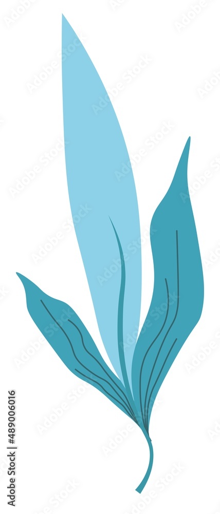 Fototapeta premium Minimalist floral leaf, foliage and leafage vector