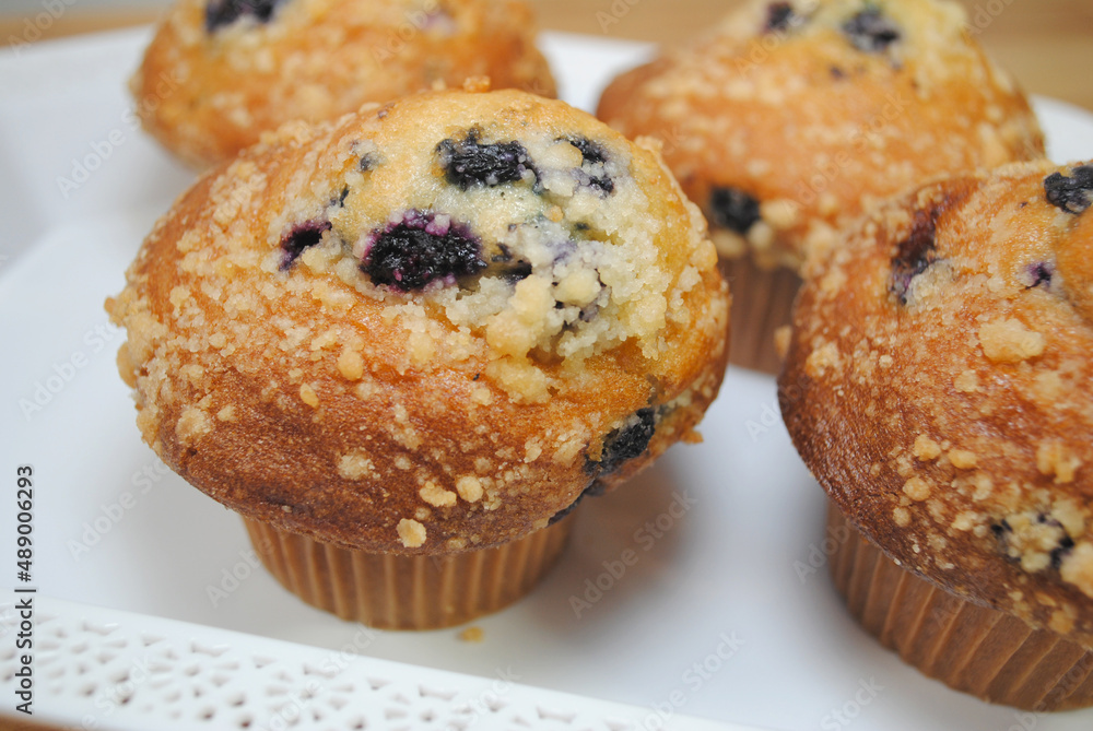Close-Up of Bakery Blueberry Muffins with Fresh Blueberries Close-Up of Bakery Blueberry Muffins with Fresh Blueberries