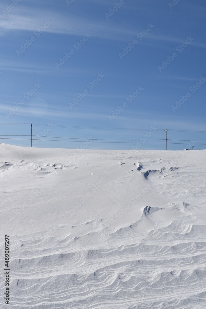 A snowy field under a blue sky, Sainte-Apolline, Québec, Canada