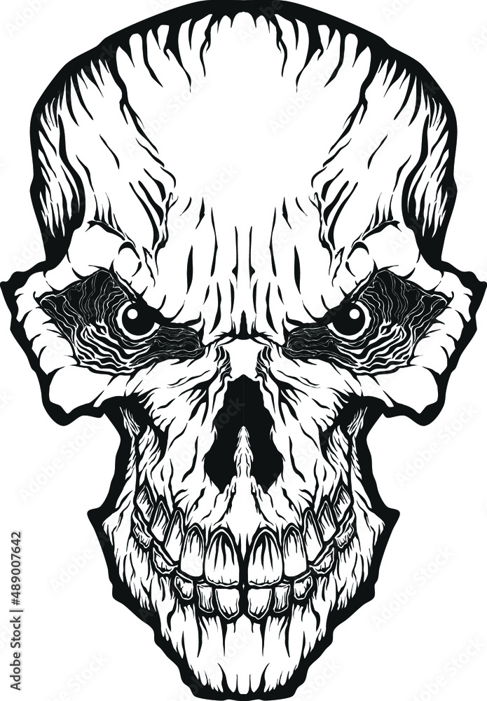Obraz premium Human Skull Vector Illustration for T-shirt design, wall art, graphic works, tattoos, and prints
