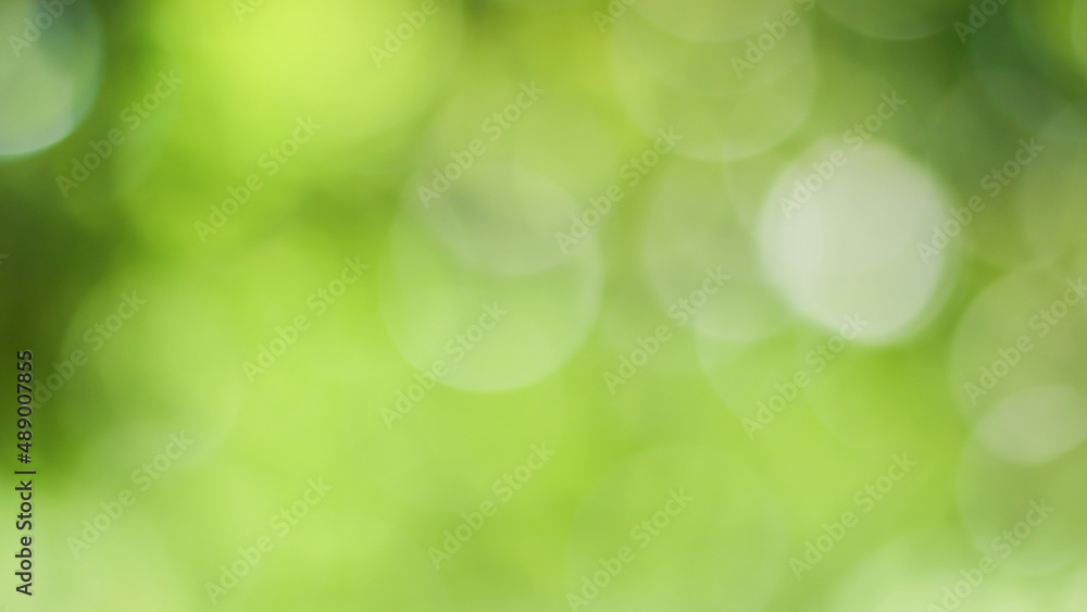 Sunny abstract green nature background, Blur park with bokeh light , nature, garden, spring and summer season Sunny abstract green nature background, Blur park with bokeh light , nature, garden, spring and summer season