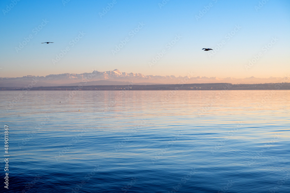 Bodeensee mit Blick auf Alpen und Möwen bei Sonnenuntergang - Meersburg, Bodensee, Deutschand Bodeensee mit Blick auf Alpen und Möwen bei Sonnenuntergang - Meersburg, Bodensee, Deutschand