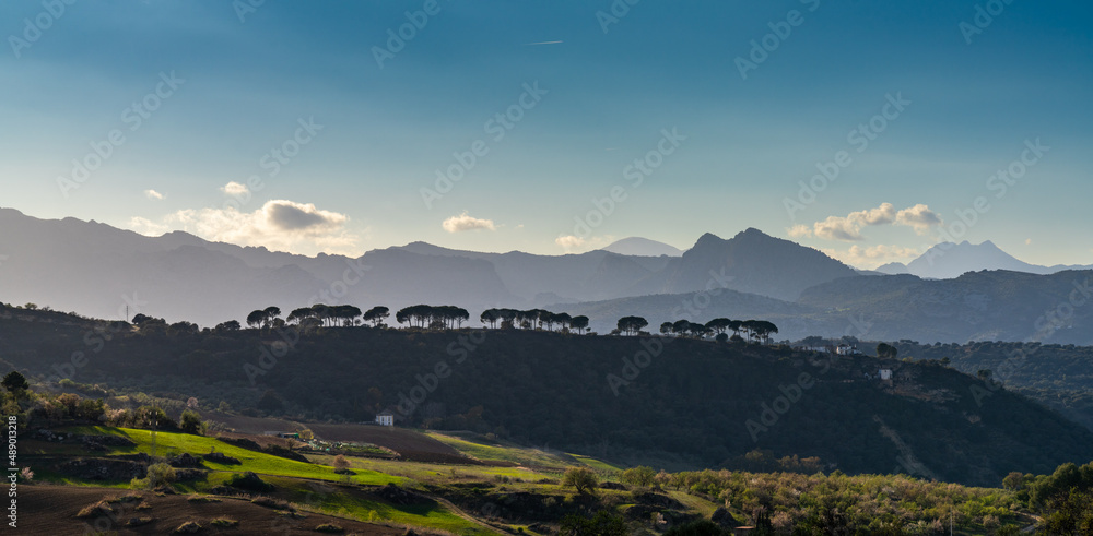 landscape view of fields around Ronda with the Serrania de Ronda in the background
