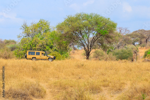 Off road car driving in Tarangire national park in Tanzania. Safari in Africa