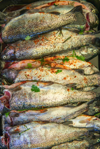 fresh and marinated fish ready for grilling, decorated with herbs and vegetables