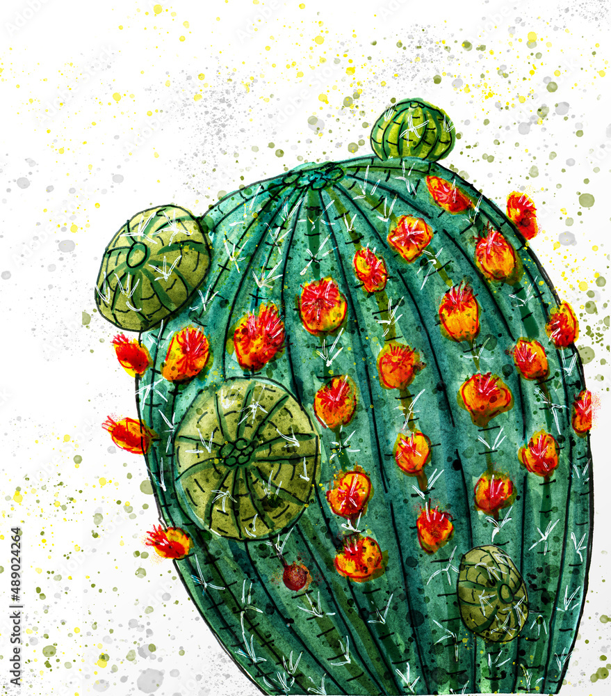 Flowers and small cacti grow on a round cactus. Stylized colorful watercolor drawing with cactus. Watercolor splatter over the drawing. Flowers and small cacti grow on a round cactus. Stylized colorful watercolor drawing with cactus. Watercolor splatter over the drawing.