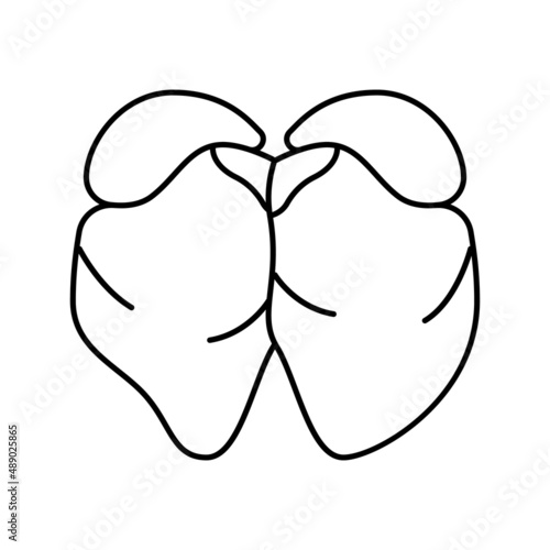 liver chicken line icon vector illustration