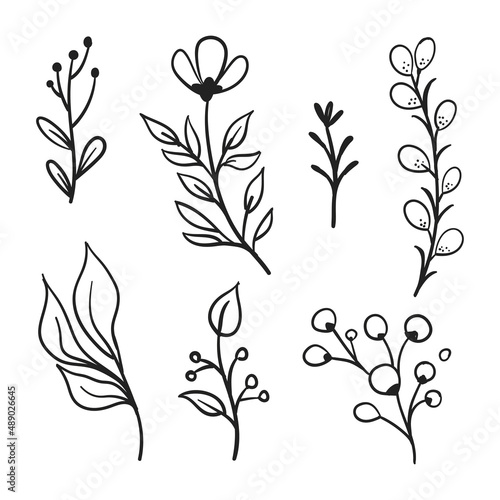 Vector branches and leaves. Hand drawn floral elements. Vintage botanical illustrations. Doodle nature ornaments.