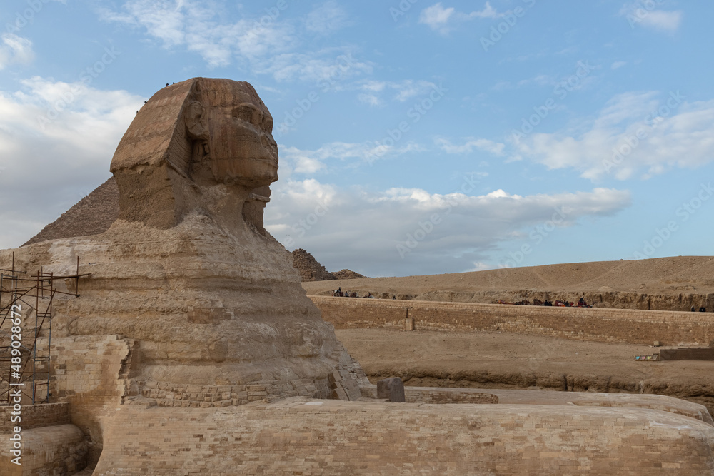 Egypt. Giza. View of the Sphinx next to the pyramids.