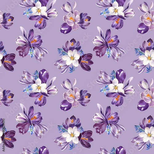 watercolor seamless pattern. spring flowers  violet  blue and white crocuses  botanical illustration