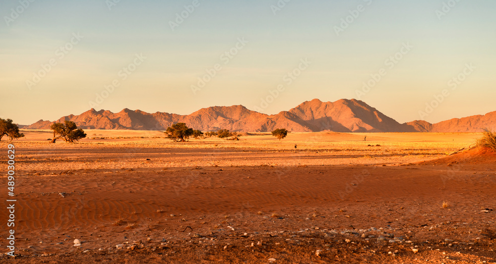 Desert landscape in the morning just outside Sossusvlei, Namibia