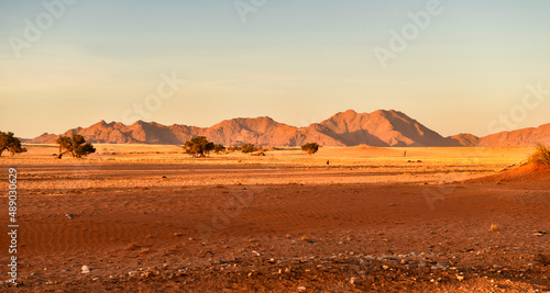 Desert landscape in the morning just outside Sossusvlei, Namibia © Stephan Röger
